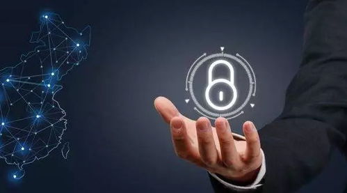 新安全形势下企业用户隐私数据安全守护与网络信息安全软件发展